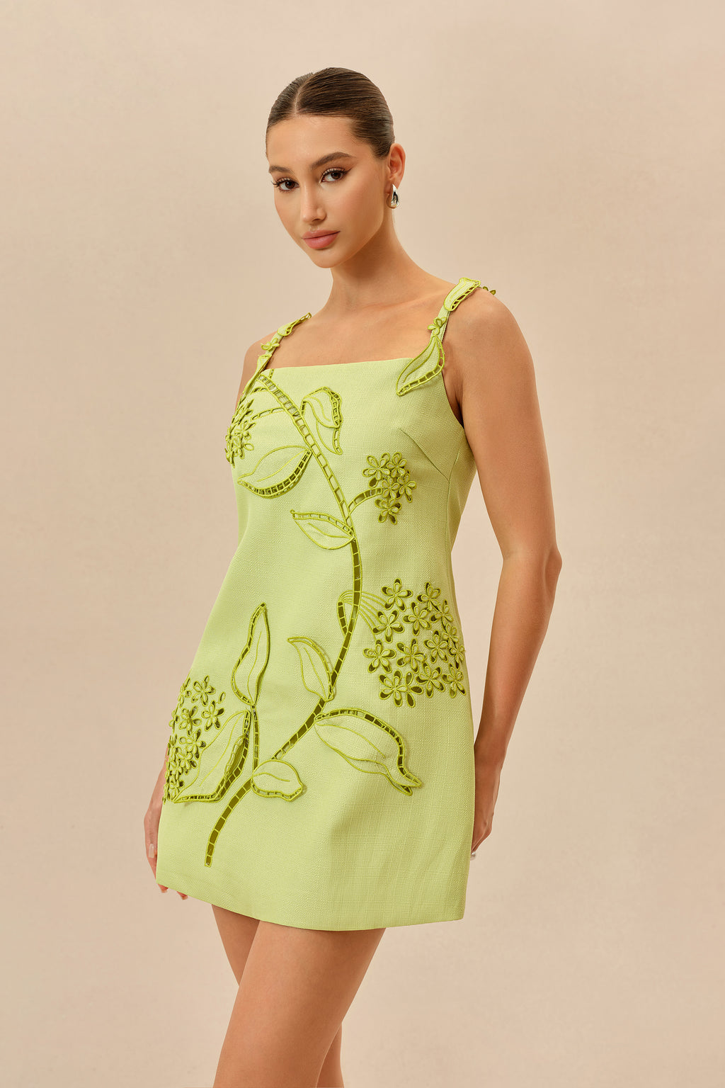 Feeling Fresh Light Green Floral Embroidered Sleeveless Mini Dress