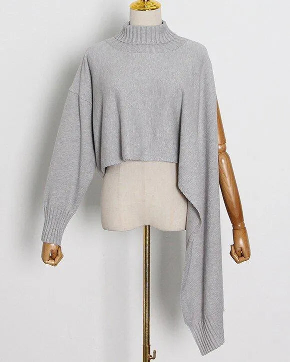 Turtleneck, Long-Sleeved, Single-Sleeved, Irregular  Cloak
