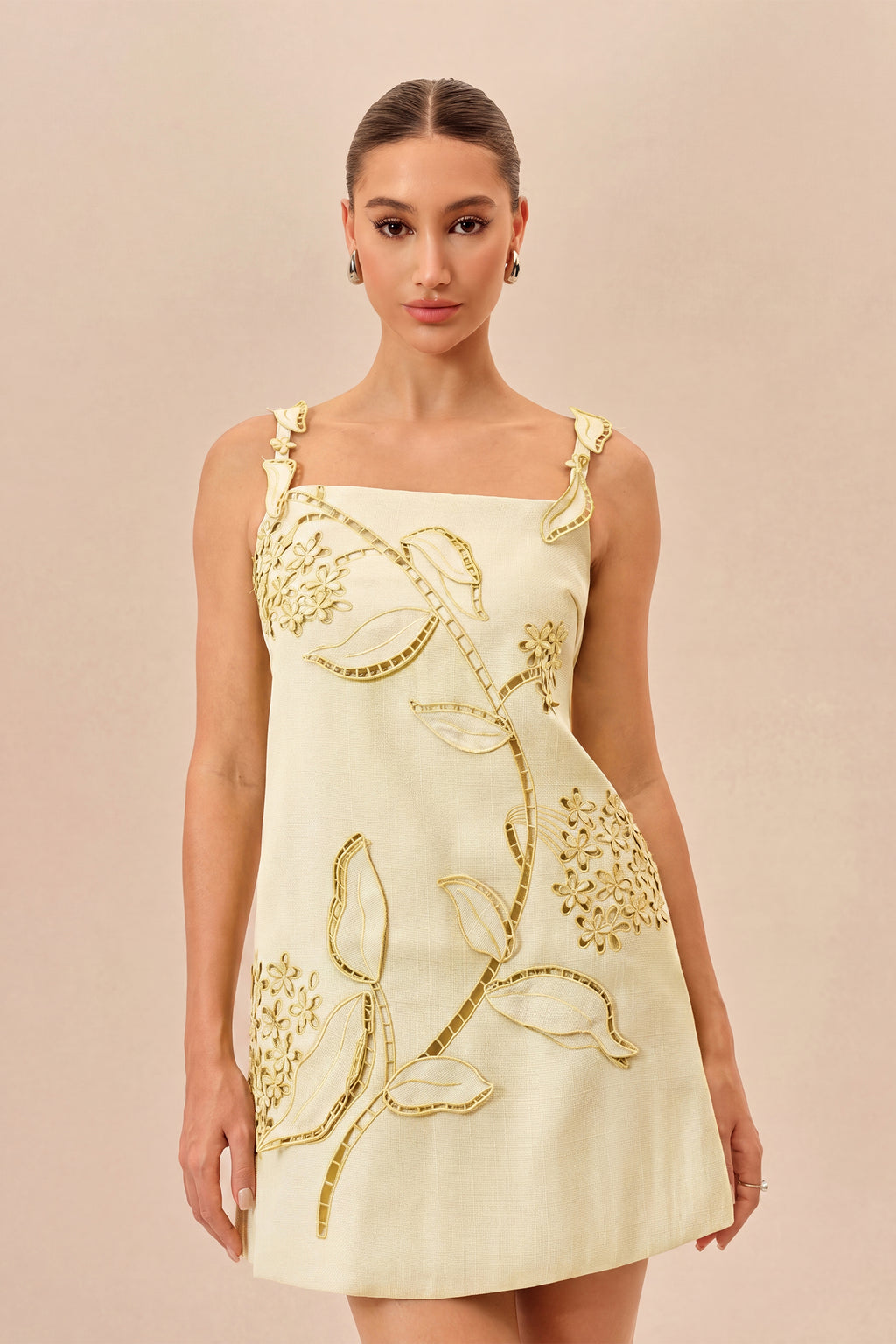 Feeling Fresh Beige Floral Embroidered Sleeveless Mini Dress